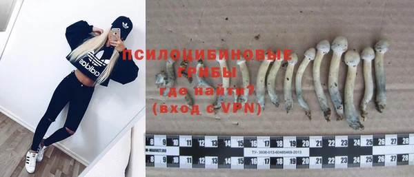 первитин Балахна