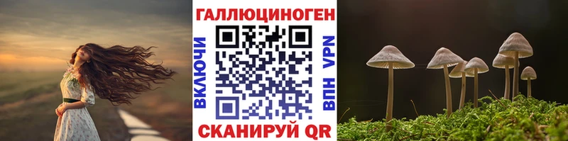 закладки  Дно  Галлюциногенные грибы Psilocybine cubensis 